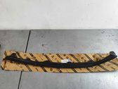 Windshield trim