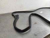 Rubber seal front door (on door)
