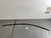 Rear door trim (molding)