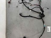 Cableado de puerta trasera
