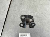 Rear door lower hinge