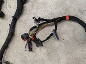 Mazo de cables interior derecho