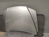 Engine bonnet/hood