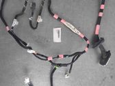 Rear door wiring loom