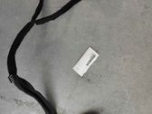 Other wiring loom