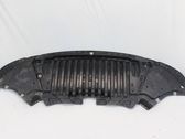 Unterfahrschutz Unterbodenschutz Motor