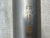 Filtre à particules catalyseur FAP / DPF