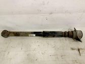 Rear shock absorber/damper