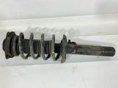 Front shock absorber/damper
