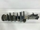 Front shock absorber/damper
