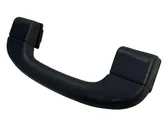 Front interior roof grab handle