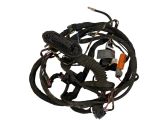 Front door wiring loom