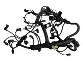 Faisceau de câblage pour moteur