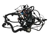 Engine installation wiring loom
