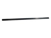 Front door trim (molding)