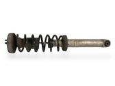 Rear shock absorber with coil spring