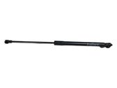 Front bonnet/hood damper/strut