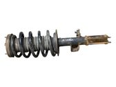 Front shock absorber with coil spring