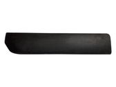 Rear door trim (molding)