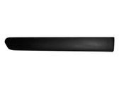 Front door trim (molding)