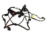 Front door wiring loom
