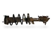 Front shock absorber with coil spring