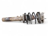 Front shock absorber with coil spring