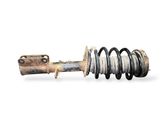 Front shock absorber with coil spring
