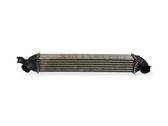 Intercooler radiator