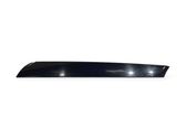 Windshield trim