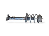 Front shock absorber with coil spring