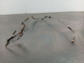 Manguera/tubo del aire acondicionado (A/C)