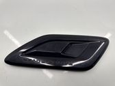 Ziergitter Motorhaube