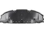 Front bumper skid plate/under tray