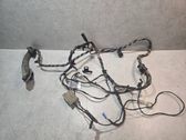 Rear door wiring loom