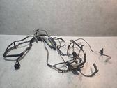Front door wiring loom