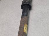 Rear shock absorber/damper