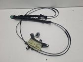 Curtain motor