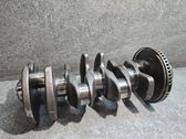 Vilebrequin du moteur