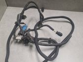 Other wiring loom