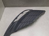 Front fog light trim/grill
