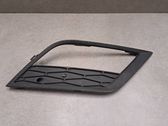 Front fog light trim/grill