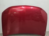 Engine bonnet/hood