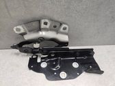 Bisagras del capó/tapa del motor