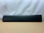 Front door trim (molding)
