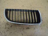Front bumper lower grill