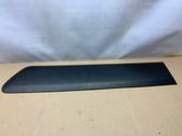 Rear door trim (molding)