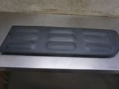 Front door trim (molding)