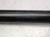 Front bonnet/hood damper/strut