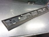 Rear door trim (molding)
